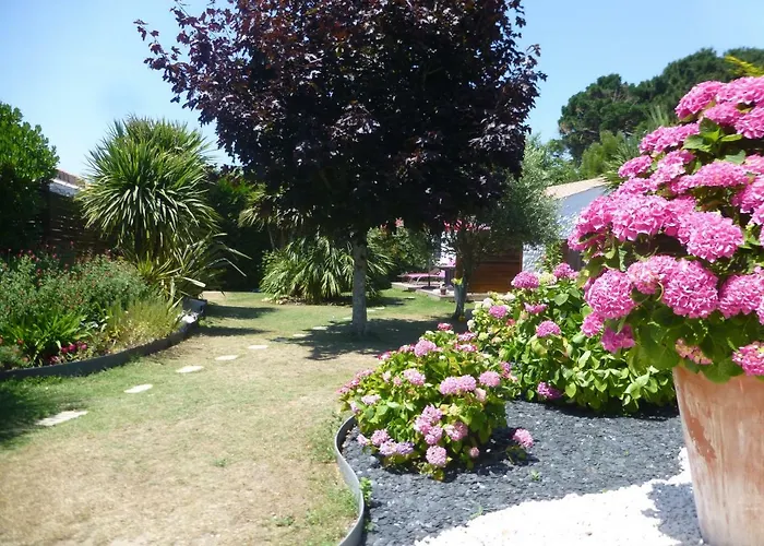 Des Fruches * Saint Gilles Croix de vie